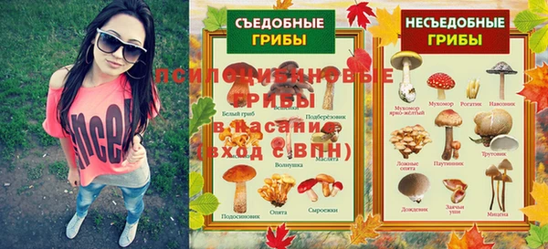 ECSTASY Лагань