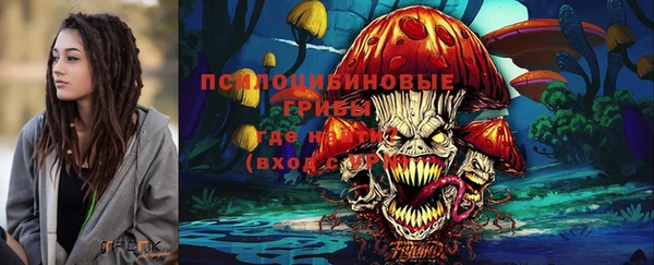 a pvp Алексин