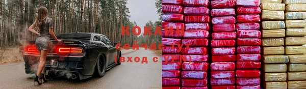 стаф Алексеевка