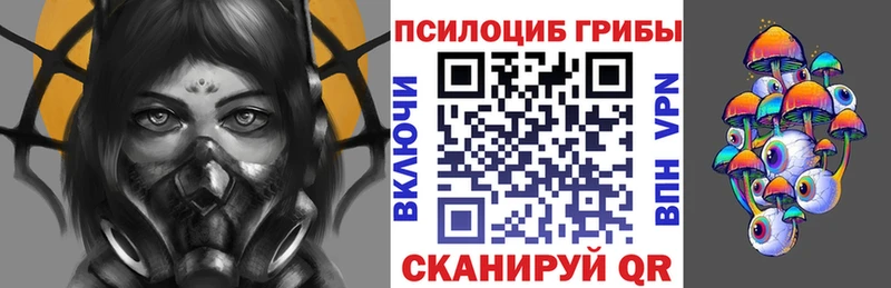 купить закладку  Бабушкин  Галлюциногенные грибы Psilocybe 